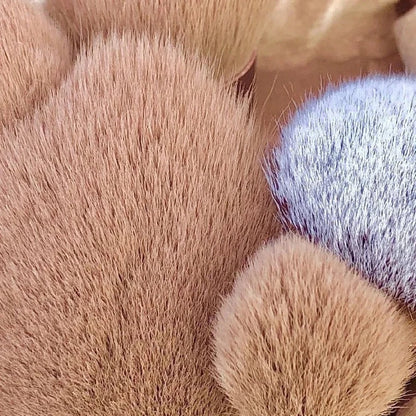 Velixia Luxe Brush Collection